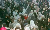 برگزاری نمایشگاه مجازی