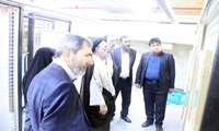 بازدیدها