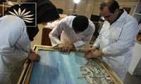 آماده‌سازی تعداد 25 عدد تابلوی نفیس