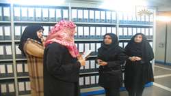 بازدید