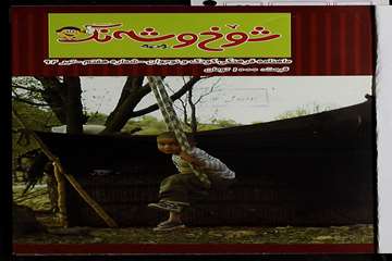 شوخ و شه نگ