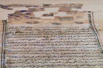 طومار6